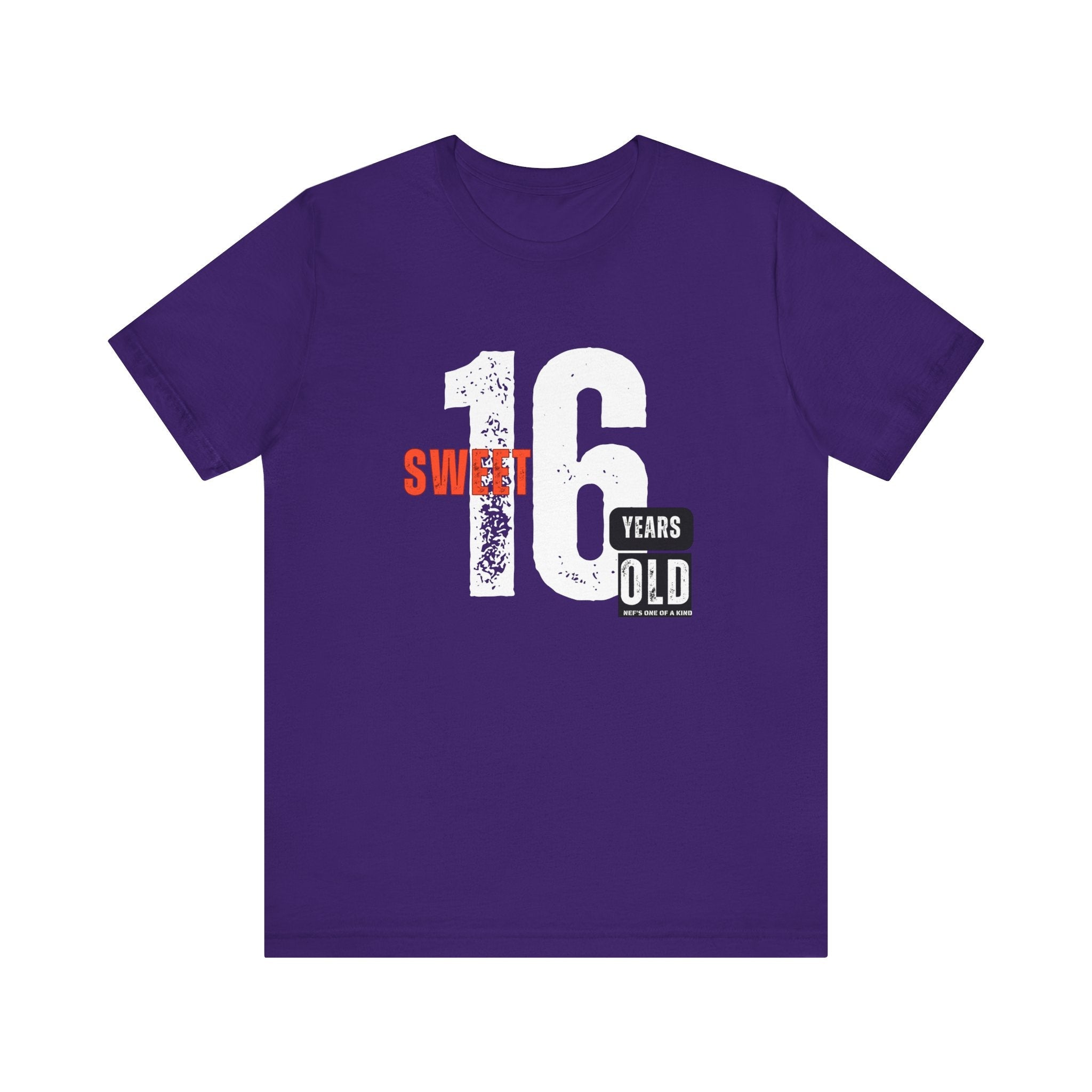 16year Old Unisex Adult Tee